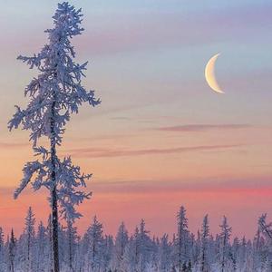 中文字幕三级久久久久久
